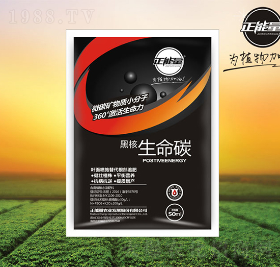 �ں�����̼-������