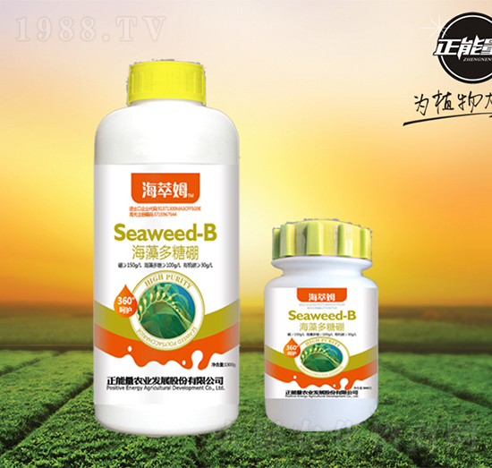 ���������-����ķ-������