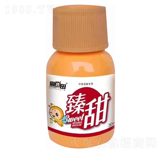 ����������-�������