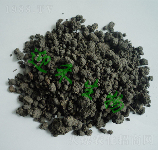 ���u�S2̖-ӭ������