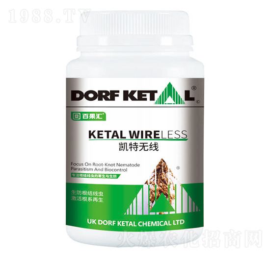 凱特無線-道夫凱特