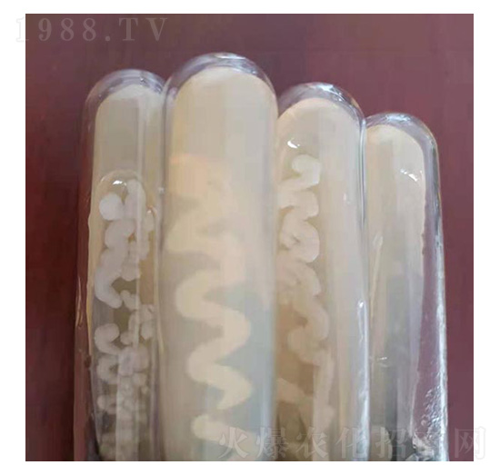 �K�ƽ�U���˜ʾ���-�Ű�����