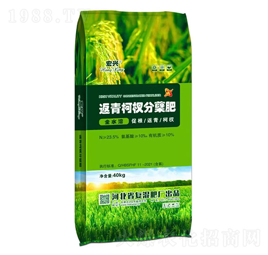 �����(qu��n)���Y��-���d