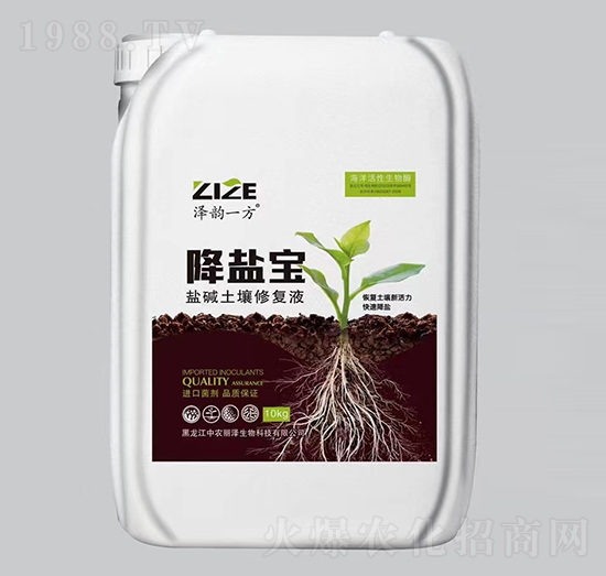 鹽堿土壤修復(fù)液-降鹽寶-中農(nóng)恒大