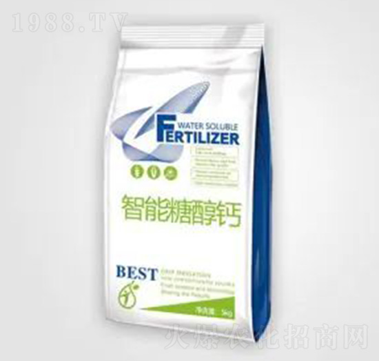 �����Ǵ��}-���ǻ���