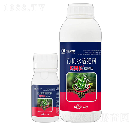 有機水溶肥料-見風(fēng)長·磷酸肽-邦爾泰生物