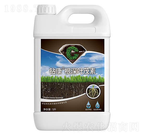 �@�������~ï��-��ţ�r�I(y��)