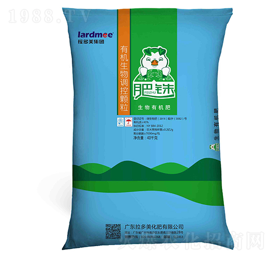 �����ЙC(j��)��-���-������