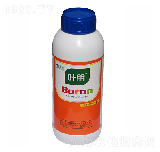 �ЙC���-�~��-ïʩ����