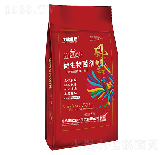 �����΢�������-����ʢ��-��������