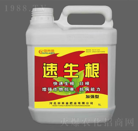 �ӏ���������-�����