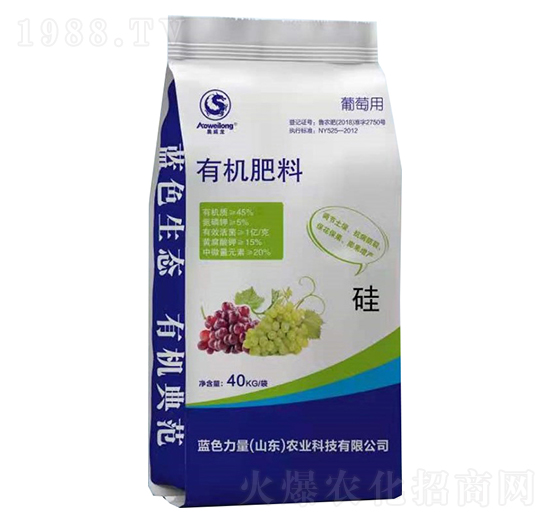 �W�������ь����ЙC����-�{ɫ����