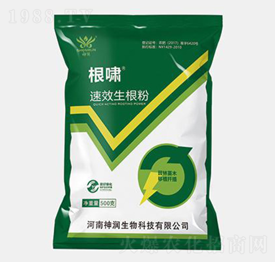 ���[������-������