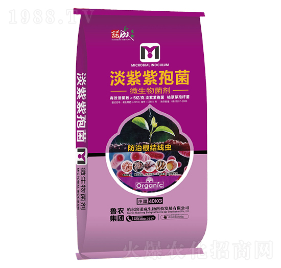 淡紫紫孢菌-諾成戰(zhàn)線-魯農(nóng)集團