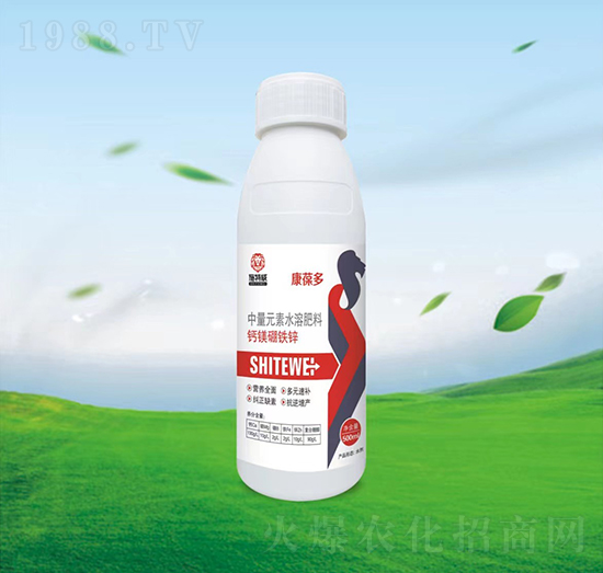 �}�V���F�\-�����-ʩ����