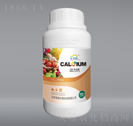 ��(d��ng)���}-��ʢ����