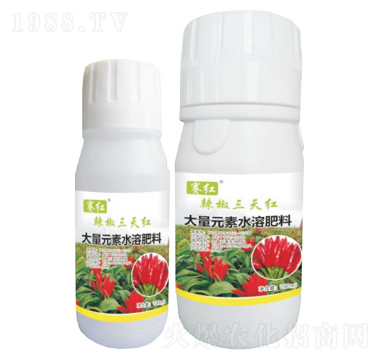 辣椒三天紅-賽紅-寶典實業(yè)