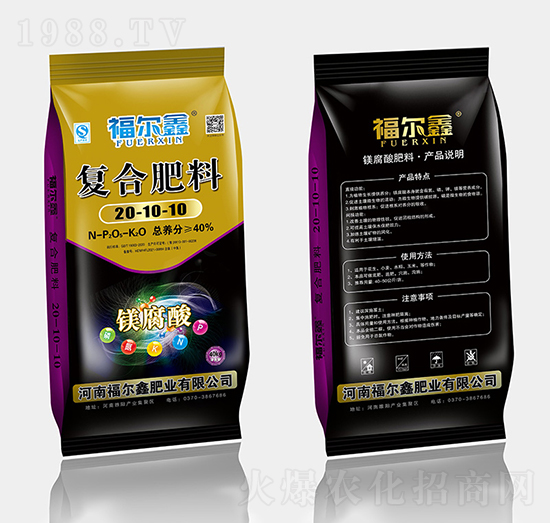 �V����ͺϷ�20-10-10-������