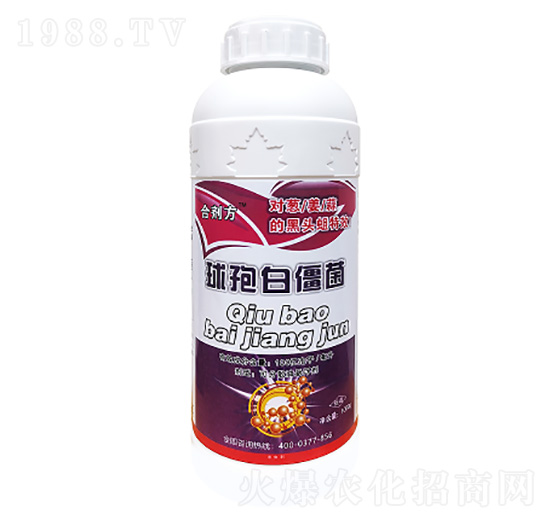 ���߰׽���-���طʘI(y��)