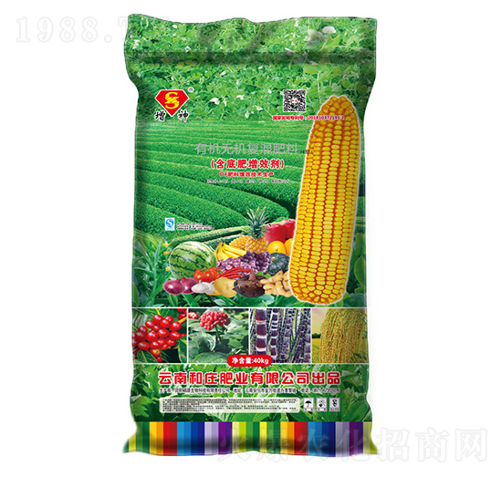 �ЙC(j��)�o�C(j��)��(f��)�����11-5-0-����-���f�ʘI(y��)