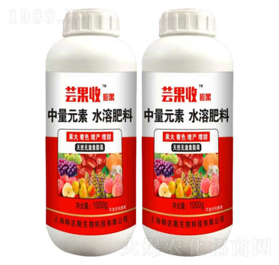 棗樹?；ū９?蕓果收-農(nóng)哥農(nóng)業(yè)