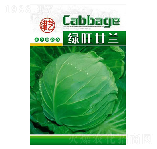 甘藍(lán)種子-綠旺甘藍(lán)-邯豐農(nóng)業(yè)