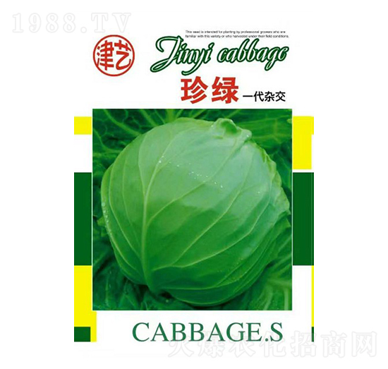甘藍(lán)種子-珍綠-邯豐農(nóng)業(yè)