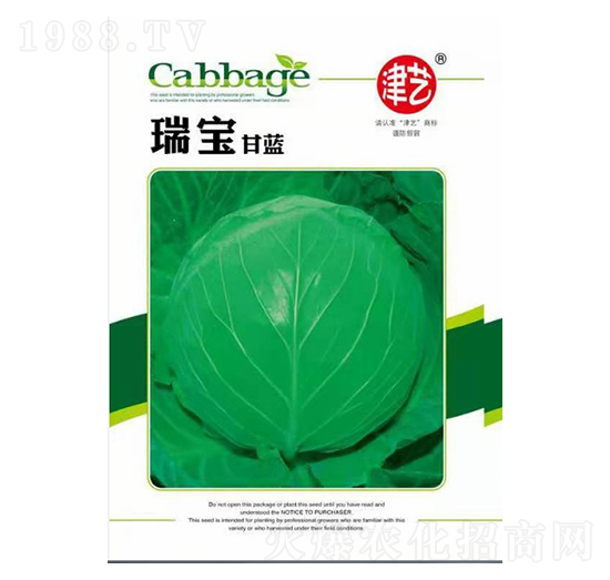 甘藍種子-瑞寶甘藍-邯豐農業(yè)