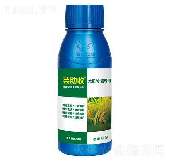 水稻小麥專用高效生物拌種劑-蕓助收-建華農業(yè)