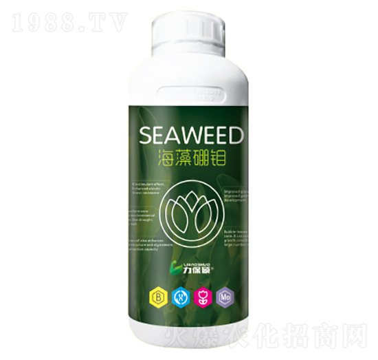 天然海藻硼鉬-力保碩-建華農業(yè)