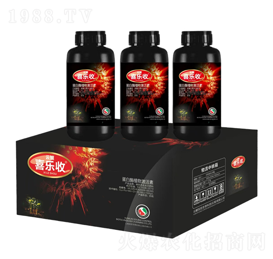 ����øֲ�Ｄ����-�t̫�