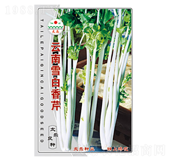云南雪白香芹-太樂種業(yè)