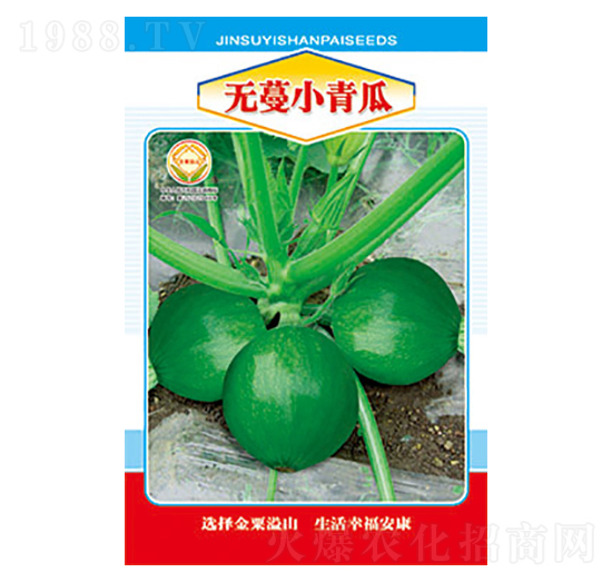 無蔓小青瓜-太樂種業(yè)