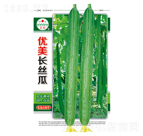 絲瓜種子-優(yōu)美長(zhǎng)絲瓜-太樂(lè)種業(yè)