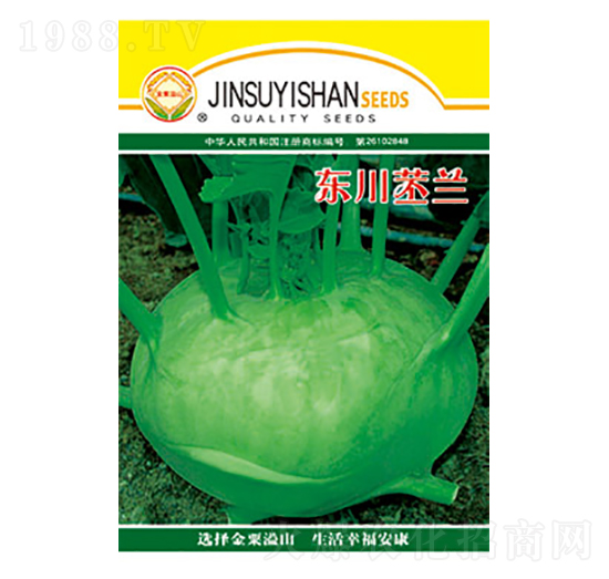 苤蘭種子-東川苤蘭-太樂種業(yè)