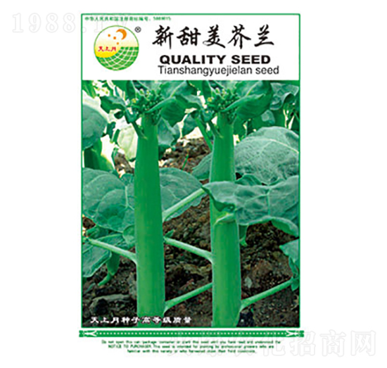 芥蘭種子-新甜美芥蘭-太樂種業(yè)