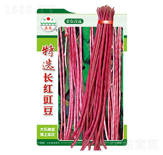 豇豆種子-特選長(zhǎng)紅豇豆-太樂種業(yè)