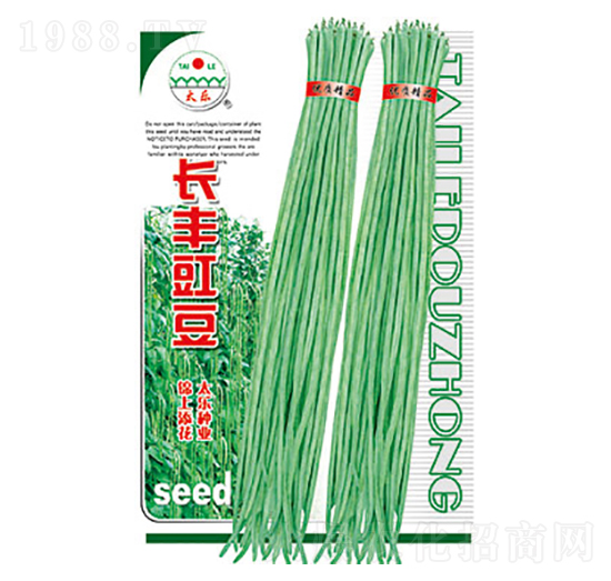 豇豆種子-長(zhǎng)豐豇豆-太樂種業(yè)