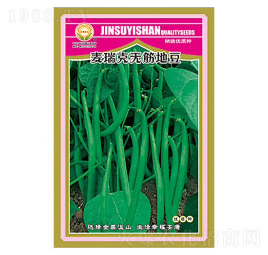 豇豆種子-麥瑞克無(wú)筋地豆-太樂種業(yè)