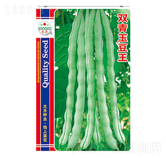 �����N��-�p������-̫��(l��)�N�I(y��)