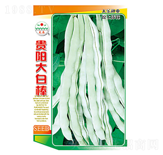 �����N��-�F�(y��ng)��װ�-̫��(l��)�N�I(y��)