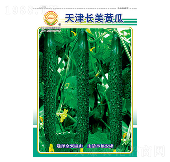 黃瓜種子-天津長美黃瓜-太樂種業(yè)
