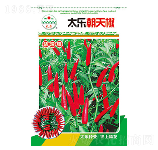 辣椒種子-太樂朝天椒-太樂種業(yè)