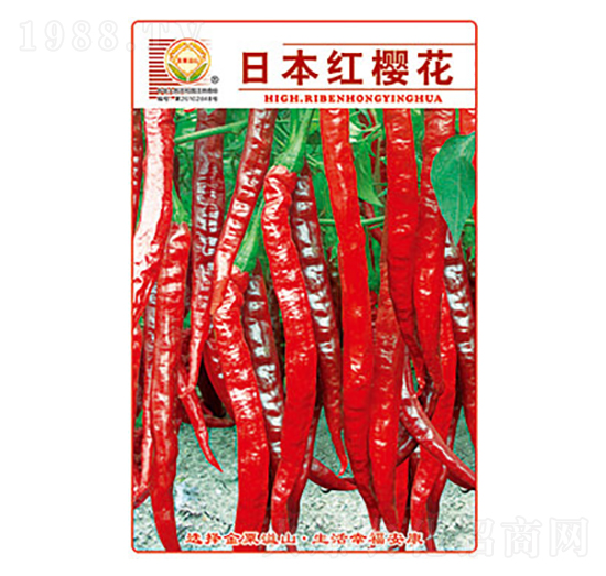 辣椒種子-日本紅櫻花-太樂種業(yè)