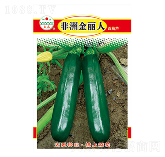 �����J�N��-���޽�����-̫��(l��)�N�I(y��)