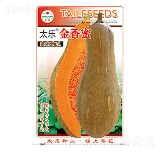 �ϹϷN��-̫��(l��)������-̫��(l��)�N�I(y��)