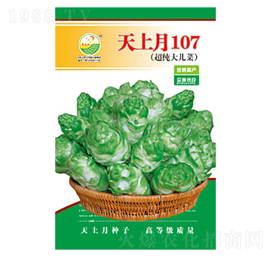 ���˷N��-������107-̫��(l��)�N�I(y��)