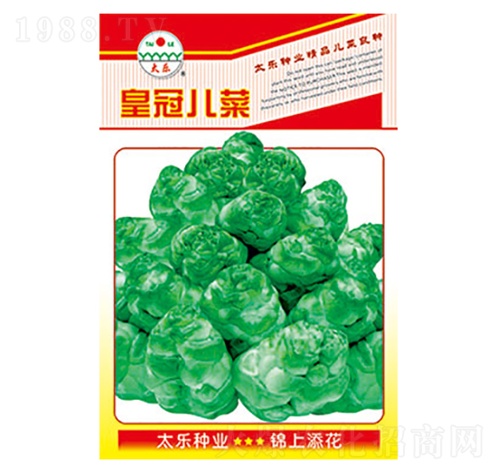 ���˷N��-�ʹڃ���-̫���N�I(y��)