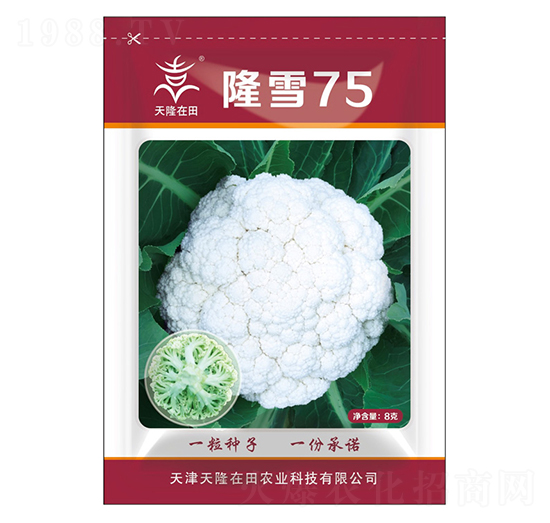 隆雪75-天隆在田-天隆農業(yè)