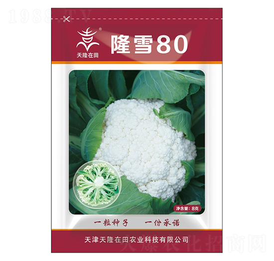 隆雪80-天隆在田-天隆農(nóng)業(yè)